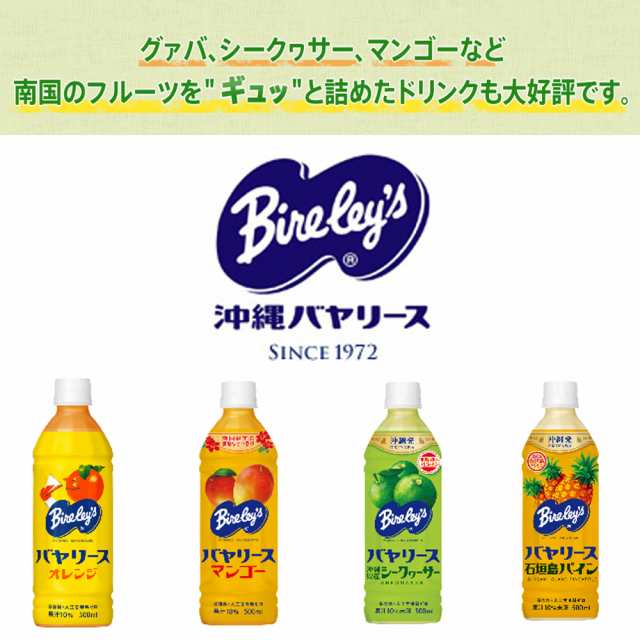 沖縄バヤリース　バヤリースオレンジ　500ml×24本[1ケース][沖縄限定][送料無料]　ペットボトル