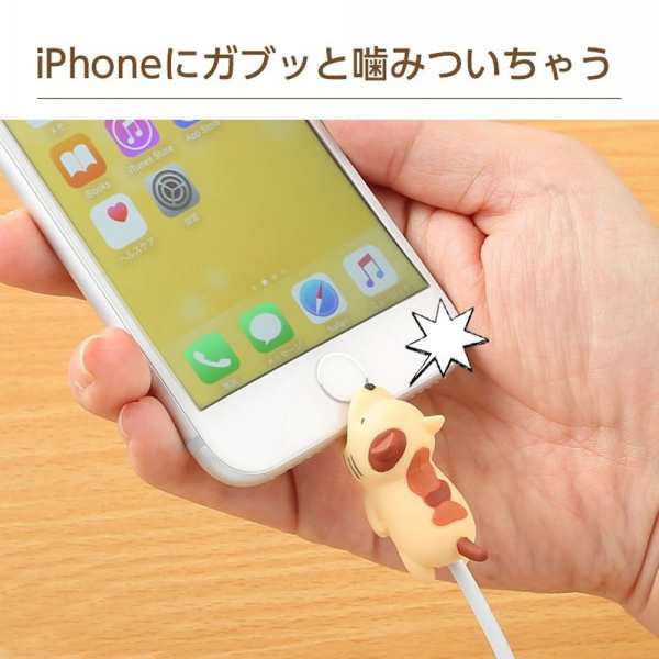 送料無料 ケーブルバイト iPhone充電ケーブル カバー 断線防止 保護 アンドロイド ライトニングケーブル対応 動物 5枚の通販はau PAY  マーケット - ふぃーるあっとほーむ