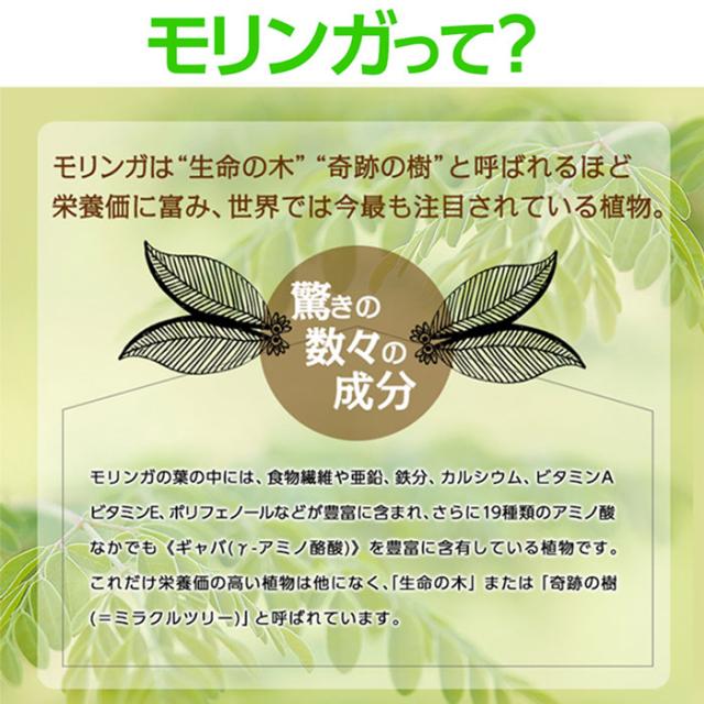 デトックス デルクルモリンガ茶 クレンズダイエット 便通 宿便 滞留便 消化 モリンガ ハーブティー ブレンド茶 ダイエット茶の通販はau Pay マーケット アイテムランド