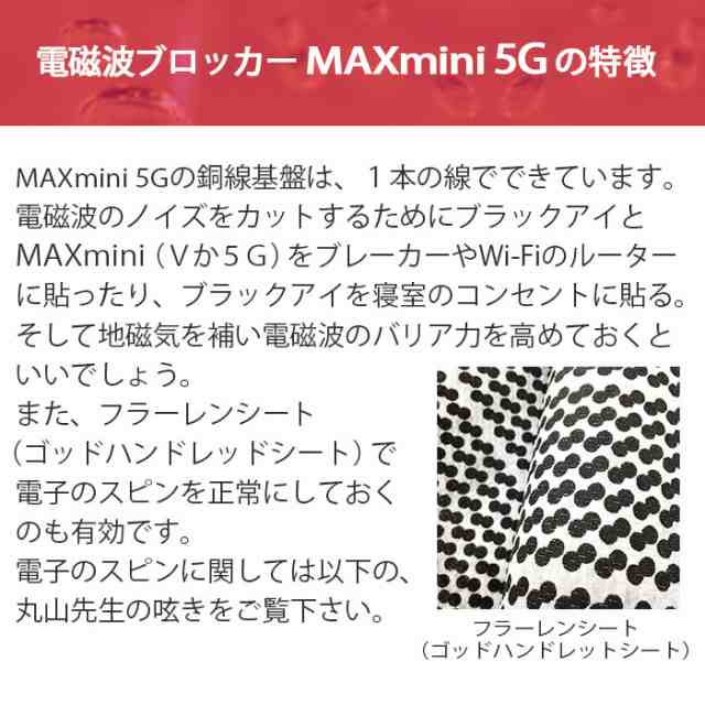 電磁波 対策 電磁波ブロッカー MAX mini 5G 丸山修寛先生監修 電磁波