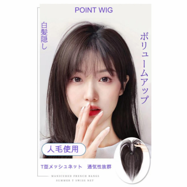 人毛頭頂部ポイントウィッグ POINT WIG 頭頂部ウィッグ 白髪隠し 