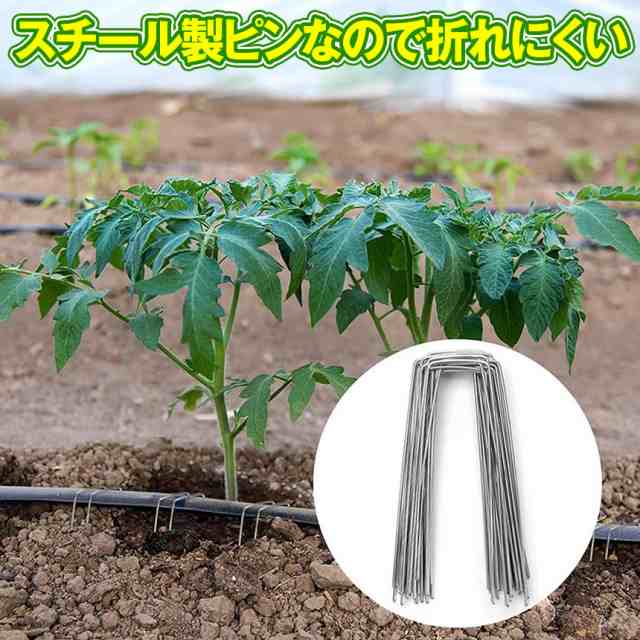 Uピン杭 黒丸付 防草シート ピン 固定ピン 除草シート 100本 固定用