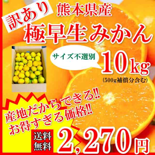 みかん 訳あり 送料無料 10kg 500g補償 サイズ不選別 熊本県産 極早生みかんの通販はau Pay マーケット 肥後 中村屋