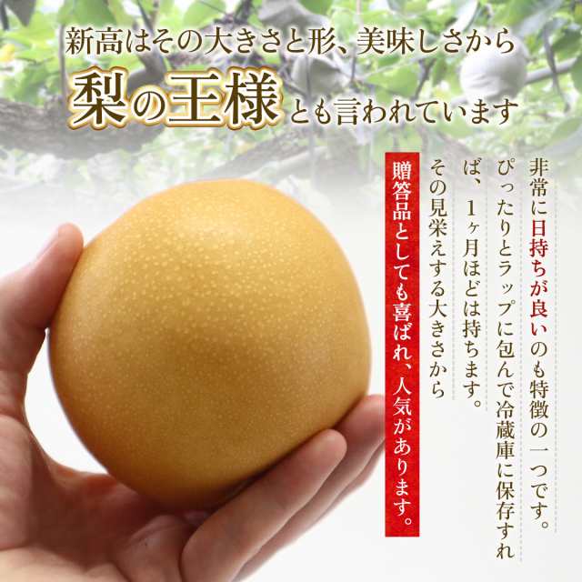 なし 新高 4.5kg 9-12玉 熊本特産 荒尾市産 龍果樹園 送料無料 秀品 荒尾梨 新高梨 贈答 ギフト プレゼント 贈り物 濃厚 甘い ジューシーの通販はau PAY マーケット 肥後 中村屋 au PAY マーケット-通販サイト