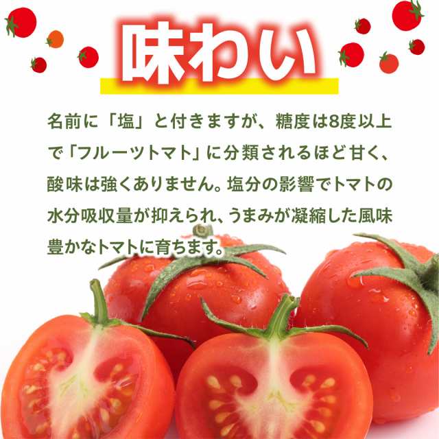 熊本産 塩トマト フルーツトマト 1kg 9〜12玉 送料無料 甘いトマト＜12月下旬より出荷予定＞ 塩とまと 高糖度 農家直送 大嶌屋（おおしまや）
