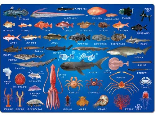 ザ アクセス 深海魚 図鑑 下敷き 深海大全の通販はau Pay マーケット 50shop Au Pay マーケット店
