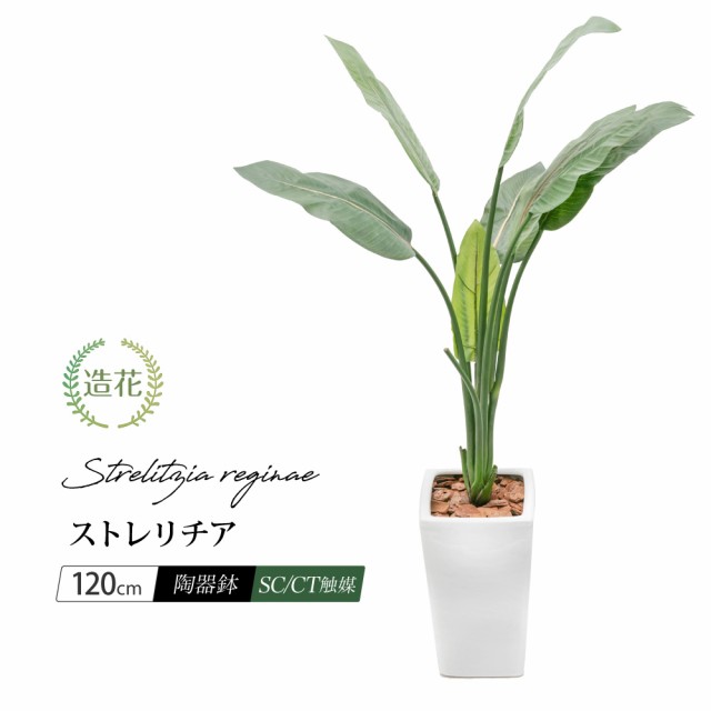 ストレリチア 120cm フェイクグリーン 陶器鉢付 CT触媒加工 大型 ストレチア 観葉植物 レギネ フェイク リアル 造花 インテリア 人工観葉