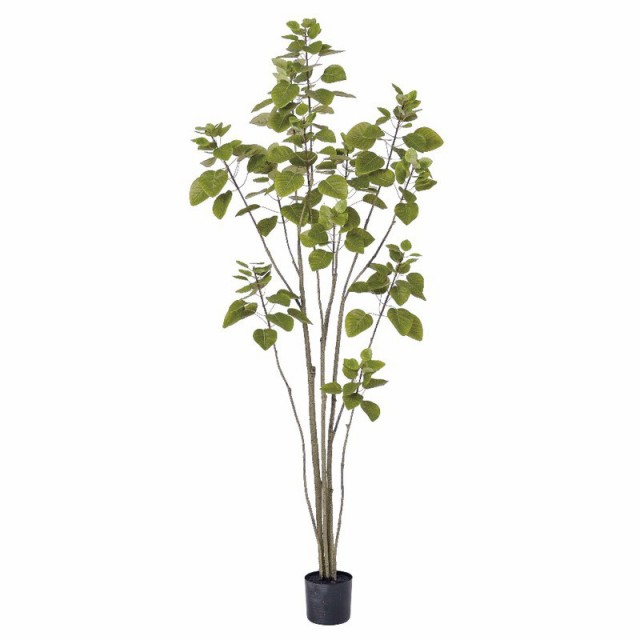 asca スモークツリー(ポット付) フェイクグリーン 観葉植物 造花の通販は