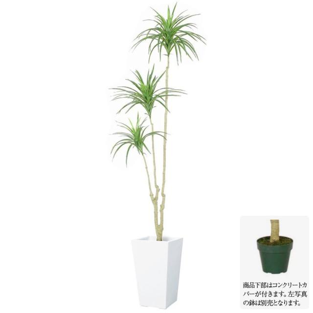 人工観葉植物 160cmユッカツリー ナチュラルカラーステム フェイクグリーン 大型 観葉植物 造花 光触媒 Ct触媒 インテリア G L の通販はau Pay マーケット 神戸花物語