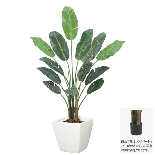 観葉植物 造花 大型 オーガスタツリー M 180cm 人工観葉植物 フェイクグリーン 光触媒 Ct触媒 インテリア G L の通販はau Pay マーケット 神戸花物語
