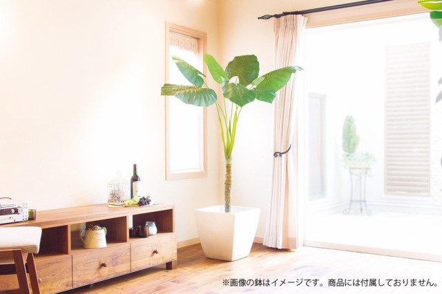 観葉植物 造花 大型】クワズイモ L170cm 【人工観葉植物 フェイク