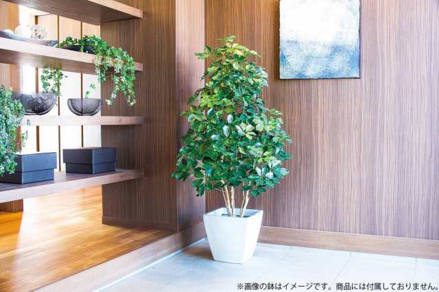 観葉植物 造花】プレミアムカポックツリー M ナチュラルトランク 150cm 大型 【人工観葉植物 フェイクグリーン