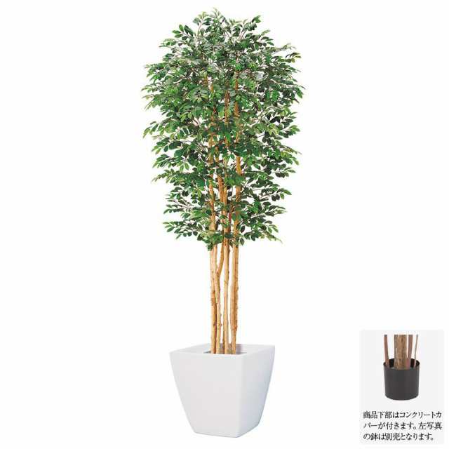 フェイクグリーン 大型 180cmトネリコツリー M ナチュラルトランク 人工観葉植物 観葉植物 造花 光触媒 Ct触媒 インテリア G L の通販はau Pay マーケット 神戸花物語