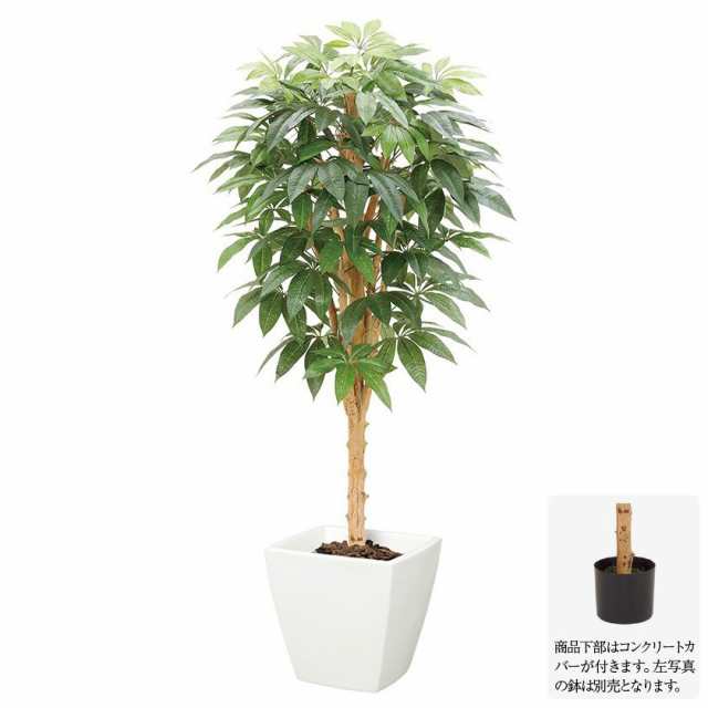 【人工観葉植物】パキラツリー S 150cm ナチュラルトランク 【フェイクグリーン 大型 観葉植物 造花 光触媒 CT触媒 インテリア】[G-L]