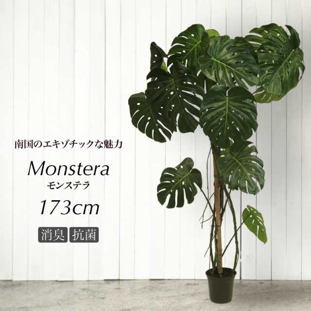 人工観葉植物 フェイクグリーン 観葉植物 造花 光触媒 大型 モンステラ 173cm 鉢植 インテリア おしゃれ フェイク グリーン Ct触媒 消臭 の通販はau Pay マーケット 神戸花物語