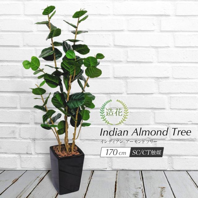 人工観葉植物 フェイクグリーン 観葉植物 造花 光触媒 大型 ナッツの木 インディアンアーモンドツリー 170cm 鉢植 フェイク グリーン インテリア おしゃれ CT触媒 お祝いの通販は