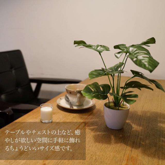 フェイクグリーン 観葉植物 造花 ミニ 人工観葉植物 光触媒 モンステラ テーブルポット 23cm 母の日 インテリア おしゃれ フェイク グリの通販はau Pay マーケット 神戸花物語