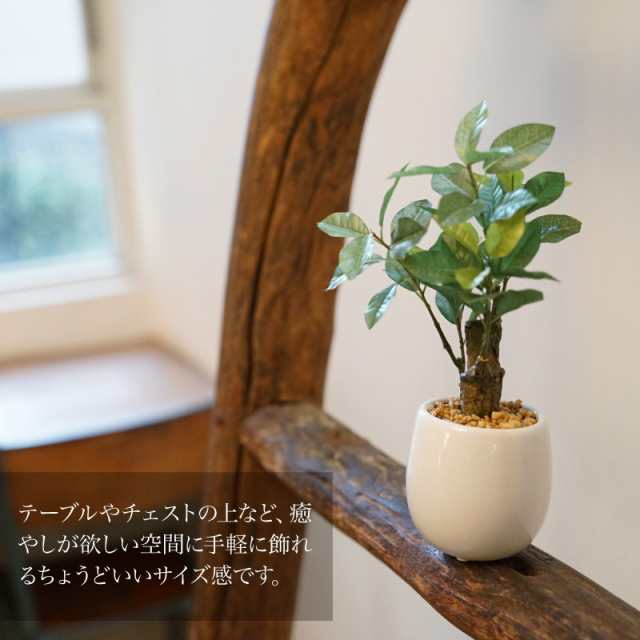 フェイクグリーン 観葉植物 造花 ミニ 人工観葉植物 光触媒 レモン