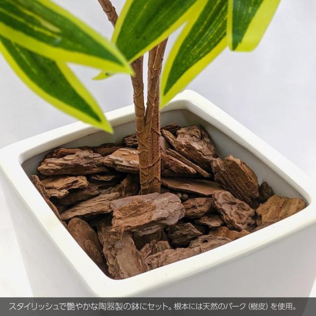 人工観葉植物 フェイクグリーン 観葉植物 造花 光触媒 大型 ソングオブインディア 90cm 鉢植 ドラセナ 幸福の木 インテリア おしゃれ フの通販はau Pay マーケット 神戸花物語