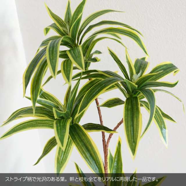 ソングオブインディア 90cm 人工観葉植物 リアル フェイクグリーン