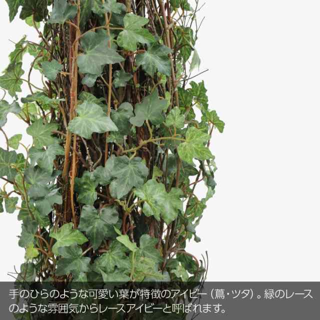 レースアイビー 95cm 鉢植 CT触媒加工済 蔦 ツタ フェイクグリーン