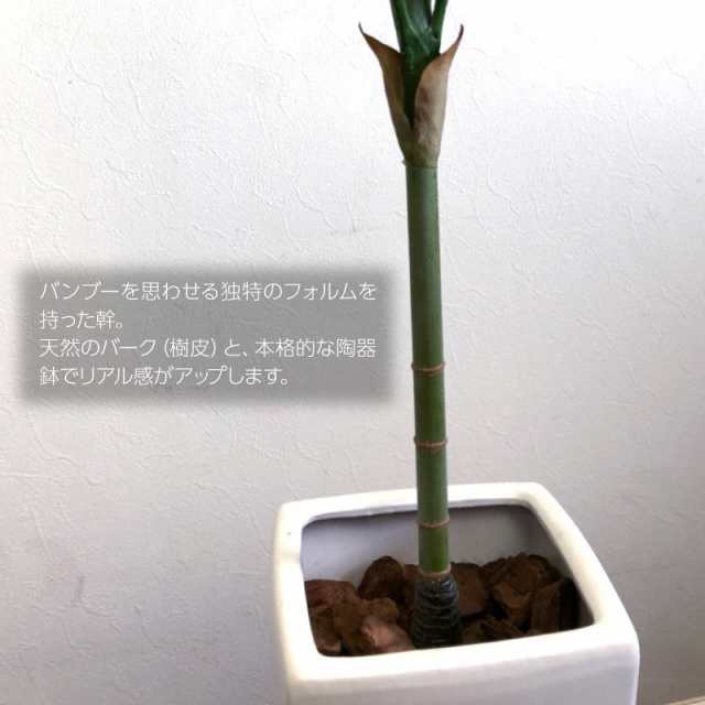 人工観葉植物 フェイクグリーン 観葉植物 造花 光触媒 大型 屋外可 テディベアパームツリー 140cm 鉢植 フェザーパーム ラステリア フェ｜au  PAY マーケット