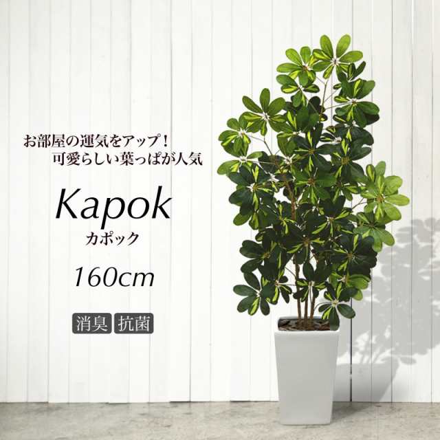 人工観葉植物 フェイクグリーン 観葉植物 造花 光触媒 大型 シェフレラ ナチュラル カポックツリー 160cm 鉢植 斑入り フェイク グリーンの通販はau Pay マーケット 神戸花物語