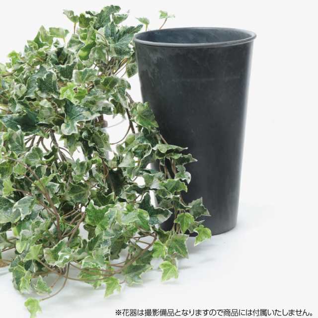 リアルタッチヘデラアイビー セシリア ツタ 蔦 フェイクグリーン 観葉植物 フェイク リアル 造花 人工観葉植物 光触媒の通販はau Pay マーケット 神戸花物語