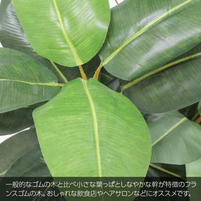 フェイクグリーン 大型 観葉植物 フェイク リアル 造花 フランスゴムの木 90cm 鉢植 陶器鉢 ラバープラント インテリア 人工観葉植物  光触媒の通販はau PAY マーケット - 神戸花物語 | au PAY マーケット－通販サイト