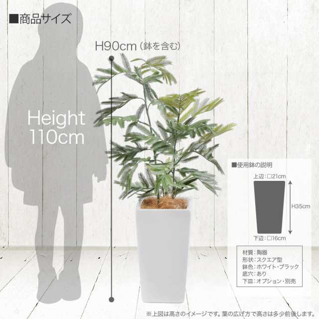 ネムノキ エバーフレッシュポット 90cm 鉢植 陶器鉢 合歓の木 フェイクグリーン 大型 観葉植物 フェイク リアル 造花 インテリア 人工観葉植物  光触媒の通販はau PAY マーケット - 神戸花物語 | au PAY マーケット－通販サイト