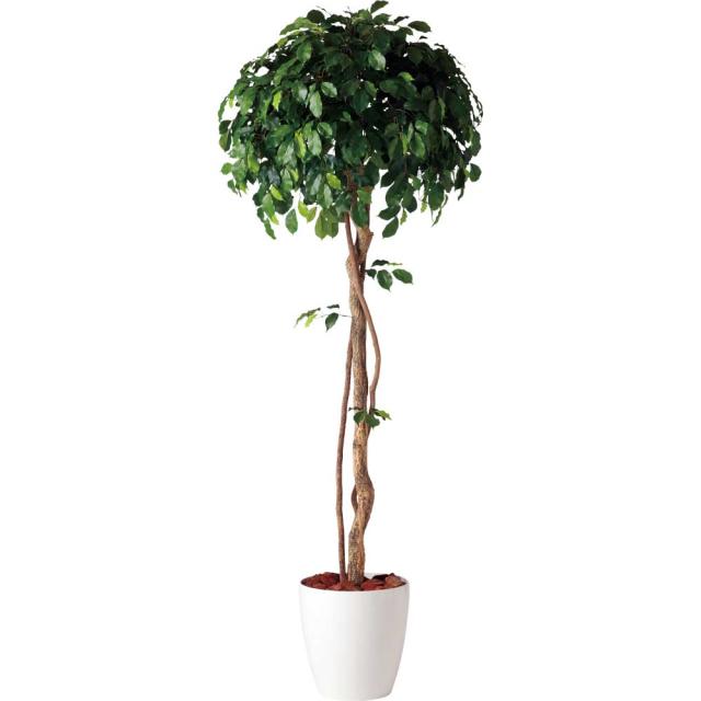 【フェイクグリーン 大型】 フィッカスベンジャミナシングル (ベンジャミン) 180cm 鉢植 【人工観葉植物 観葉植物 造花 光触媒 CT触媒 インテリア】