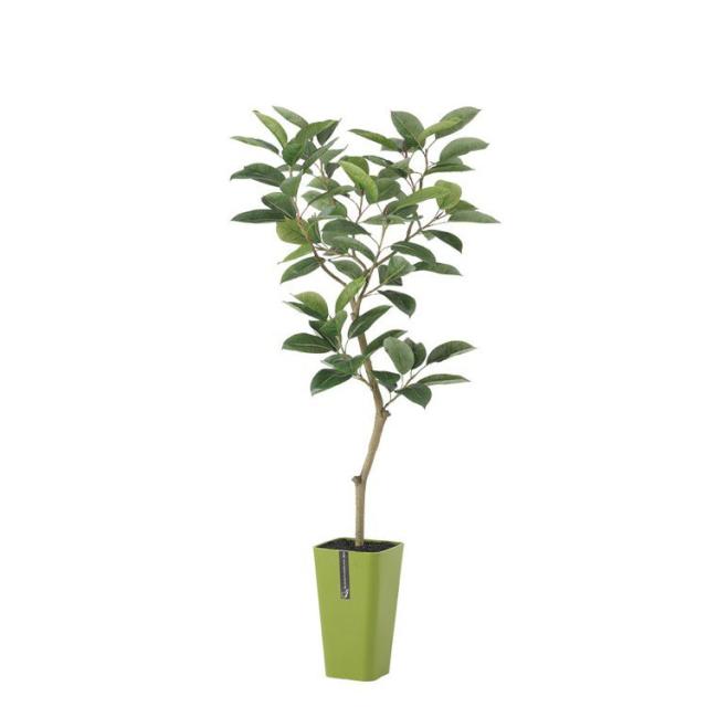 光触媒 人工観葉植物 ウォールグリーン フェイクグリーン スパイラル