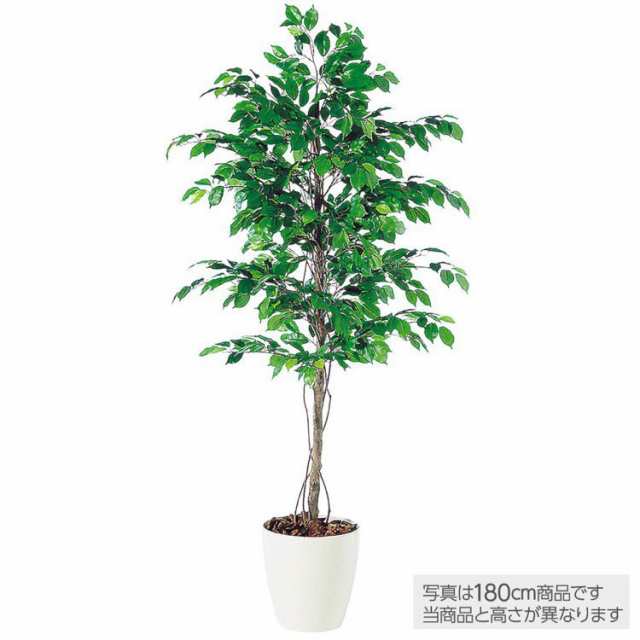 メーカー直送 観葉植物 造花 大型】 フィッカスベンジャミナ