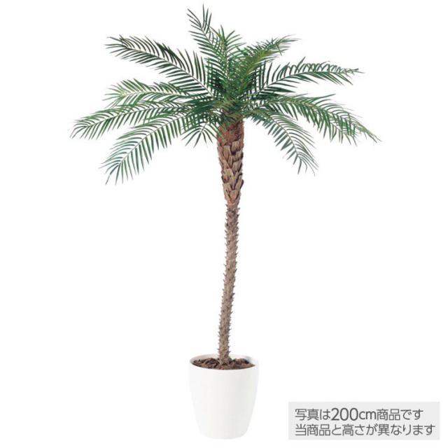 人工観葉植物 大型 フェニックス 天然幹 パーム 250cm 鉢植 フェイクグリーン 観葉植物 造花 インテリア の通販はau Pay マーケット 神戸花物語
