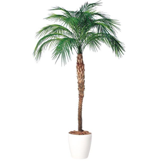 人工観葉植物 大型 フェニックス ロベレニー パーム 0 300cm 鉢植 観葉植物 造花 フェイクグリーン インテリア の通販はau Pay マーケット 神戸花物語