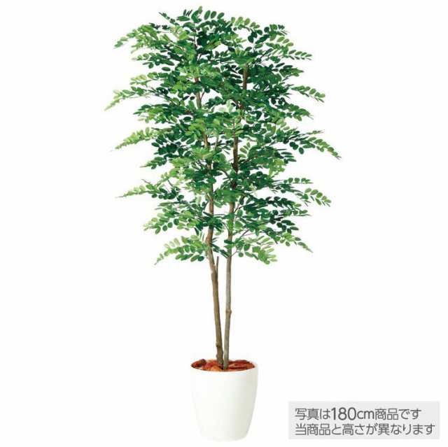 【観葉植物 造花】 アカシアデュアル 150cm 鉢植 【フェイクグリーン 大型 人工観葉植物 光触媒 CT触媒 インテリア】