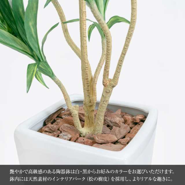 コルディリネ 145cm コルジリネ 鉢植 陶器鉢 CT触媒加工済 フェイクグリーン 大型 観葉植物 フェイク リアル 造花 インテリア 人工観葉植物  光触媒の通販はau PAY マーケット - 神戸花物語 | au PAY マーケット－通販サイト