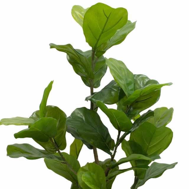 観葉植物 フェイク 大型 造花 カシワバゴムポット グリーン 観葉植物 フェイク 大型 造花 カシワバゴムポット グリーン