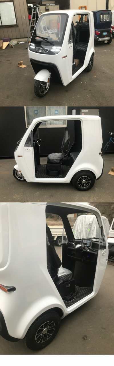 【4月入荷、予約】EVトゥクトゥク TUKTUK 側車二輪 走行110km 時速58km/h 高出力 リチウムイオン 公道走行可能 屋根付き マイクロカー 超小型モビリティー 老人 小型 ev 2 人 乗り 3人乗り TUKTUK 色：グリーンの通販は