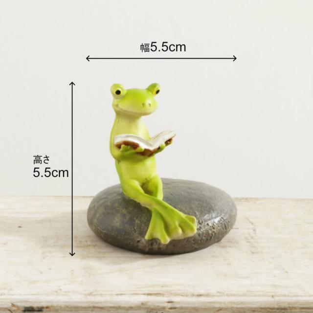 動画あり】 置物 カエル かわいい 風水 玄関 1202PKC014の通販は