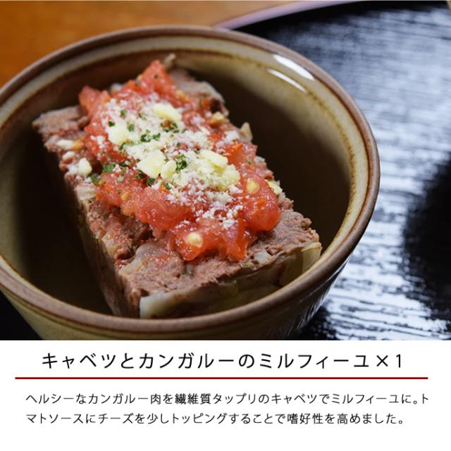 愛犬用手作り食 低カロリーで美味しい7食セット ハウンドカム食堂 ドッグフード 手作り食 カンガルー 豚肉 鶏肉 エゾ鹿 食いつの通販はau Pay マーケット 帝塚山ハウンドカム