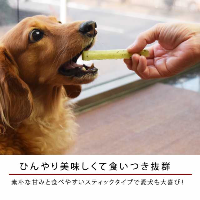 犬用アイス 12本 6つの味 各2本 スティックアイスキャンディー 犬用スイーツ アイス フルーツアイス シャーベット 犬用おやつ の通販はau Pay マーケット 帝塚山ハウンドカム