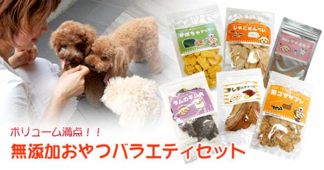 無添加おやつ バラエティーセット お徳用 犬 ジャーキー クッキー ヤギミルク ガム 詰め合わせ 誕生日プレゼントに 訓練のご褒美にもおすの通販はau Pay マーケット 帝塚山ハウンドカム