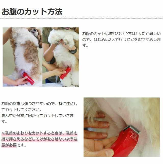 犬 ペット用バリカン ドッグヘアーペン トリマー君 0 6mm刃 部分カット 小型 お尻の毛 足の毛 肉球周り 軽い 電池式 介護 足裏 肛門の通販はau Pay マーケット 帝塚山ハウンドカム