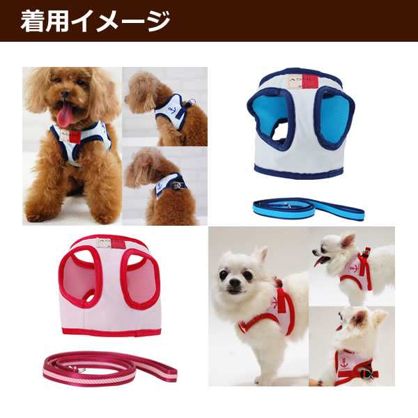 犬 クールハーネス Ashuクーリングウェアハーネス リードセットss 小型犬 超小型犬 子犬 洋服型柔らかくて 犬ハーネス ペット用品 犬用の通販はau Pay マーケット 帝塚山ハウンドカム 犬 クールハーネス Ashuクーリングウェアハーネス リードセットss 小型犬 超小型犬 子犬 洋服型柔らかくて 犬ハーネス ペット用品 犬用の通販はau Pay マーケット 帝塚山ハウンドカム