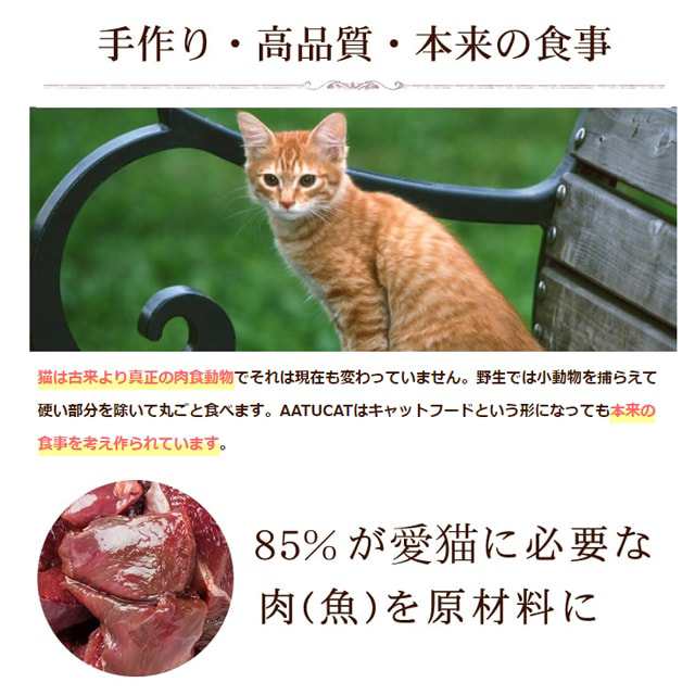 tu アートゥーキャット サーモン ニシン 1kg3袋 ドライフード キャットフード 猫用 成猫 グレインフリー 穀物不使用 アートゥの通販はau Pay マーケット 帝塚山ハウンドカム