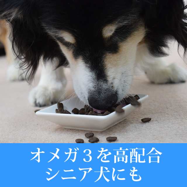 初回送料無料 tu アートゥー ドッグ サーモン ニシン 1 5kg ドッグフード ドライフード 犬用 穀物不使用 グレインフリーの通販はau Pay マーケット 帝塚山ハウンドカム