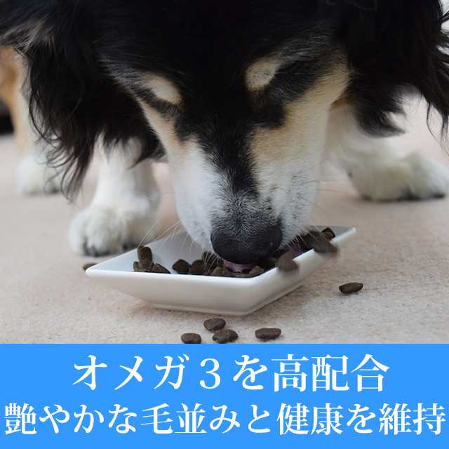 tu アートゥー パピーサーモン ドッグ 1 5kg 犬用 グレインフリー 穀物不使用 仔犬 子犬 幼犬 魚 フィッシュ 無添加 ドッグの通販はau Pay マーケット 帝塚山ハウンドカム