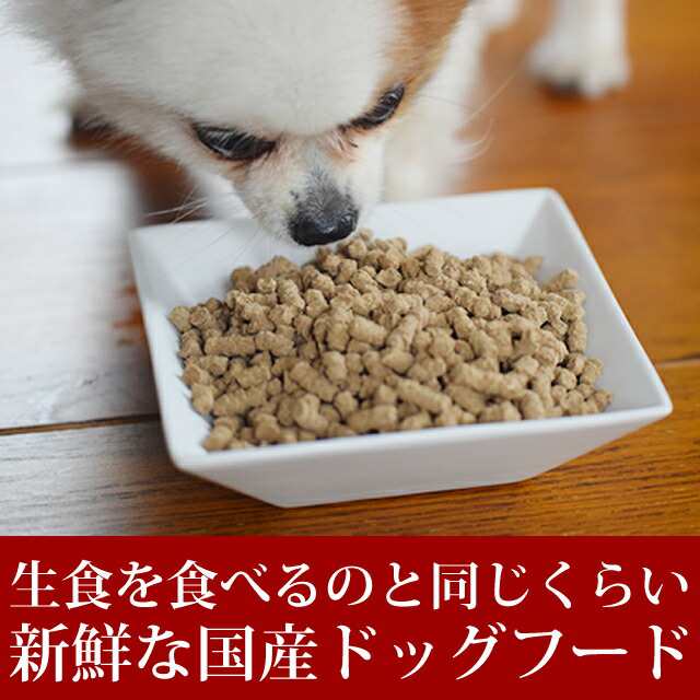 ホリスティッククッキング フィッシュ 1kg ドッグフード 国産 無添加 防腐剤不使用 ノンオイルコーティング 食いつき抜群 魚肉 小粒 老犬の通販はau Pay マーケット 帝塚山ハウンドカム