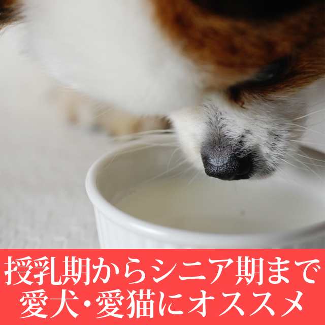 ヤギミルク 60g 無添加 ゴートミルク 粉末 パウダー 犬 猫 子犬 老犬 シニア カルシウム タウリン 手作り食 やぎミルク愛用の方へ 優の通販はau Pay マーケット 帝塚山ハウンドカム